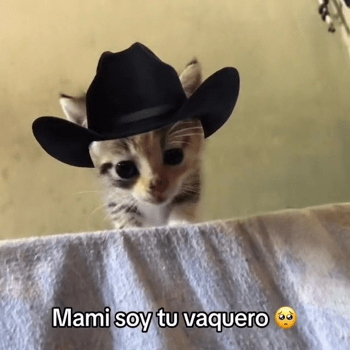 Mami, soy tu vaquero 🤠