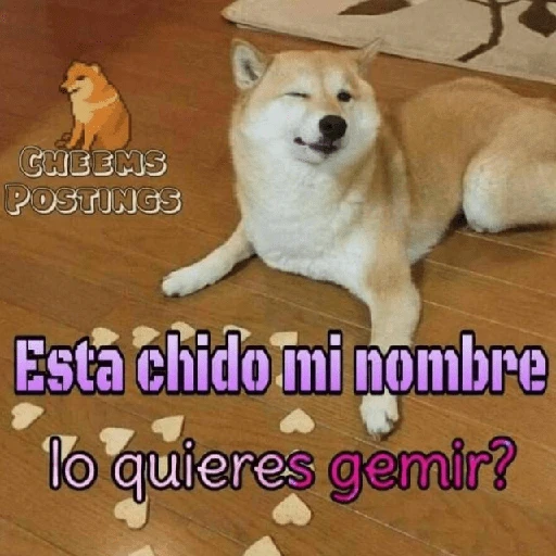 Memes para ligar 4 🔥🥵