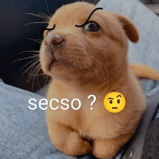 Memes para ligar 4 🔥🥵