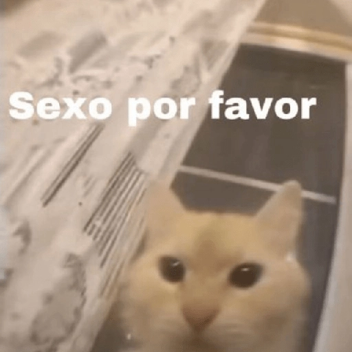 Memes para ligar 4 🔥🥵