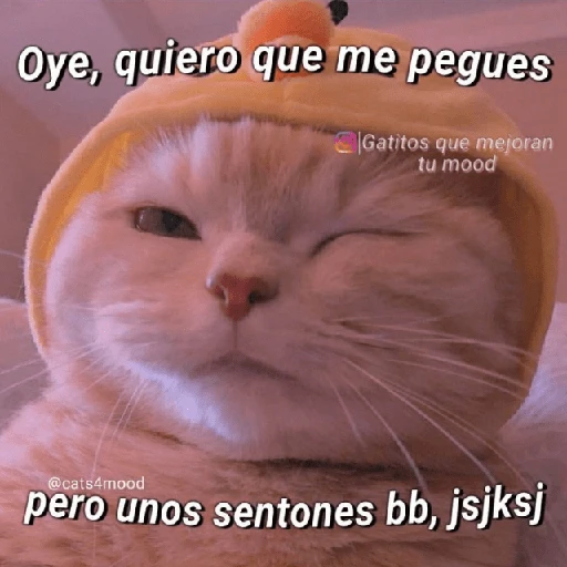 Memes para ligar 4 🔥🥵
