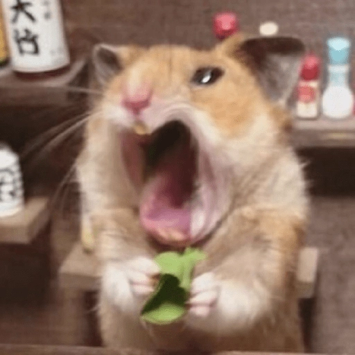 Hamsters