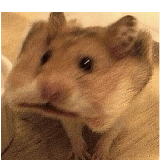 Hamsters
