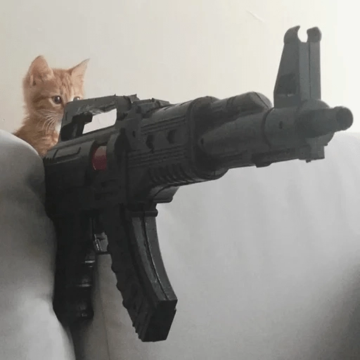 Sabes que te falta? Estos 😸