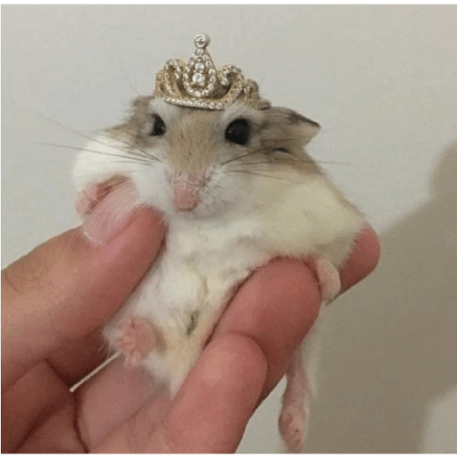 Hamster Gemoy preview