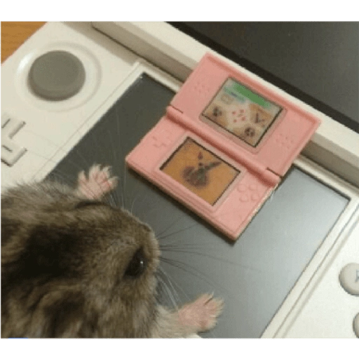 Hamsters