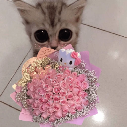Gatitos con Flores 💐