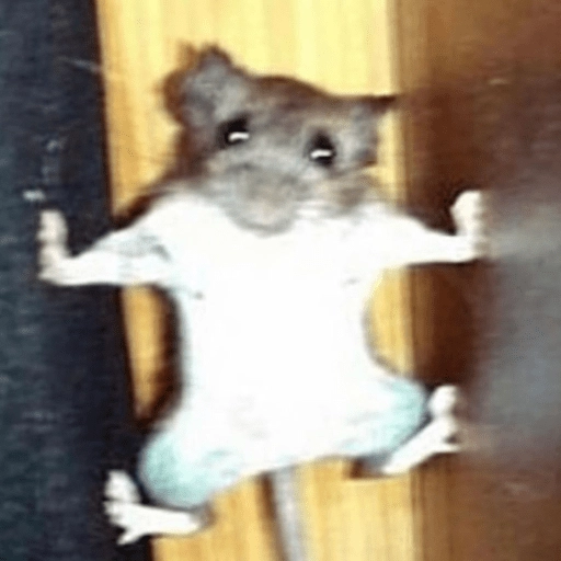 Ratitas Randoms 🧀