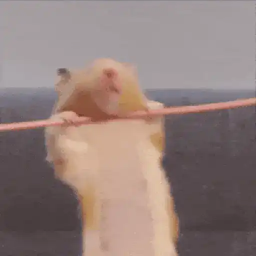 Hamsters Mov 🐹