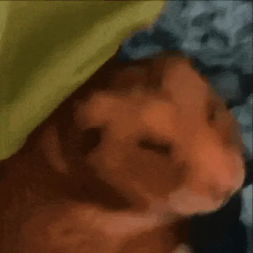 Hamsters Mov 🐹