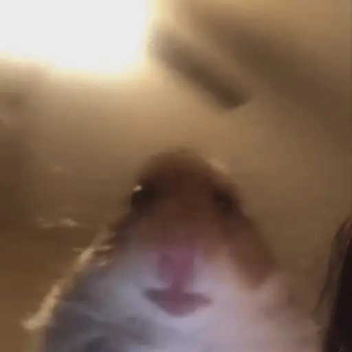 Hamster 🐹 preview