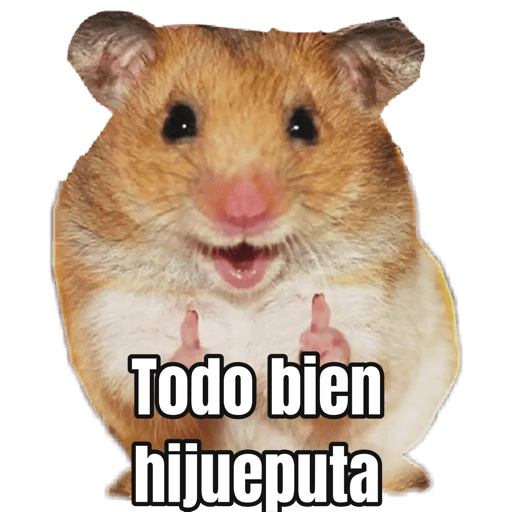 Memes Hamsters