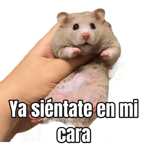 Memes Hamsters