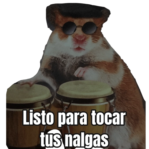 Memes Hamsters