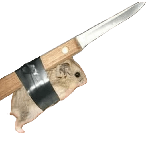 Memes Hamsters