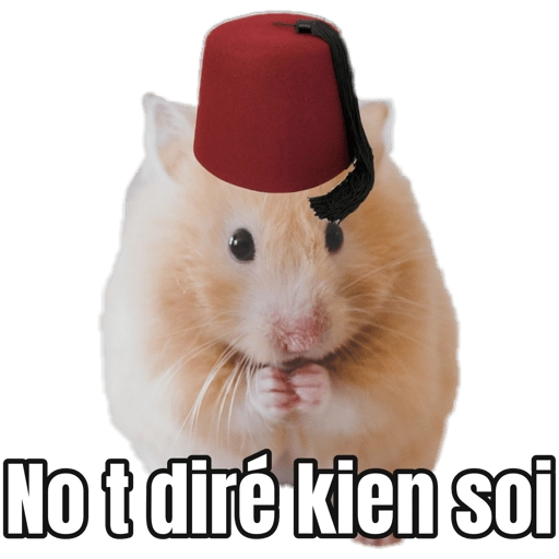 Memes Hamsters