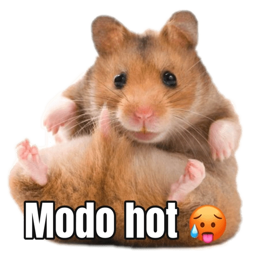 Memes Hamsters