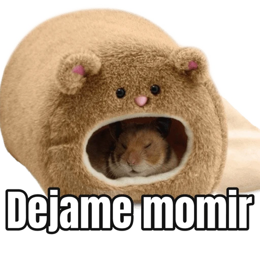 Memes Hamsters