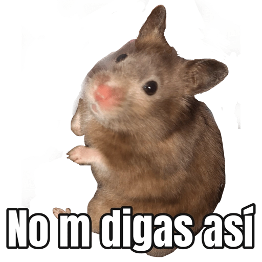 Memes Hamsters