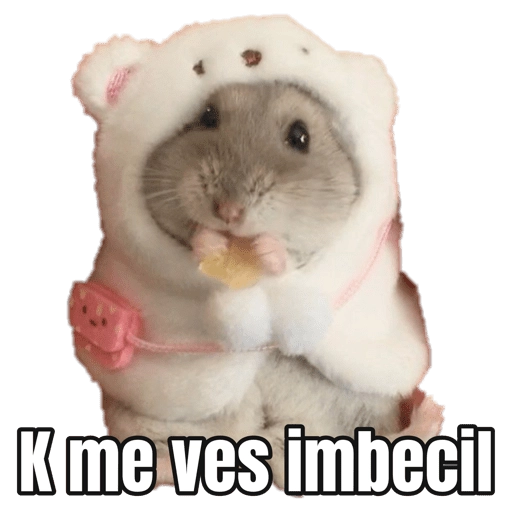 Memes Hamsters