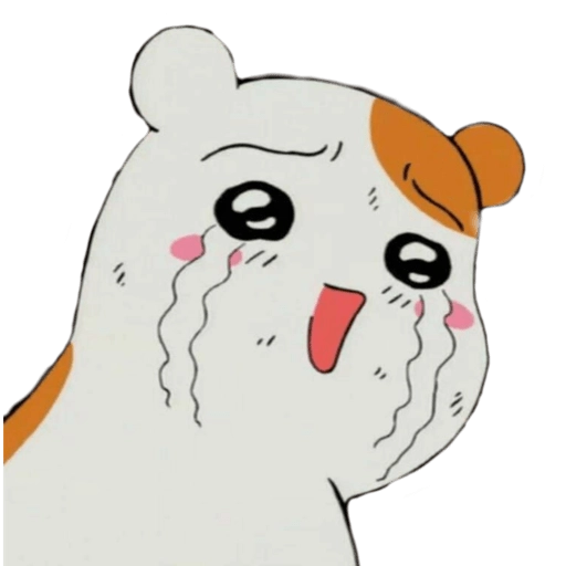 Memes Hamsters