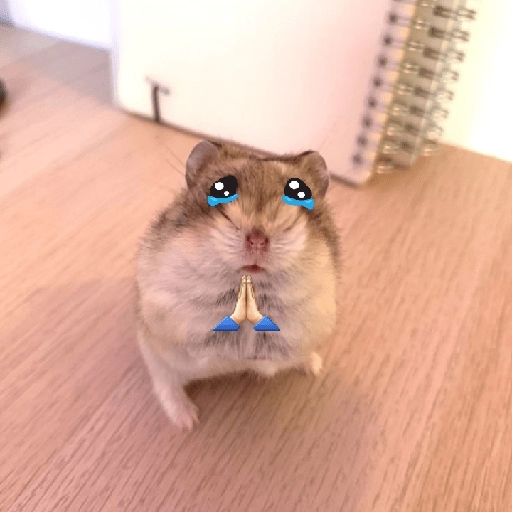 Hamsters ❤️ preview