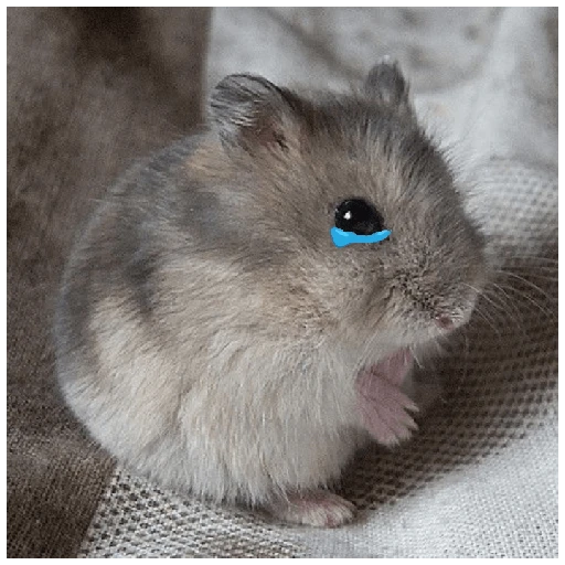 Hamsters ❤️ preview