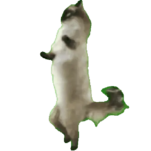 Ibjiñij 🐺 preview