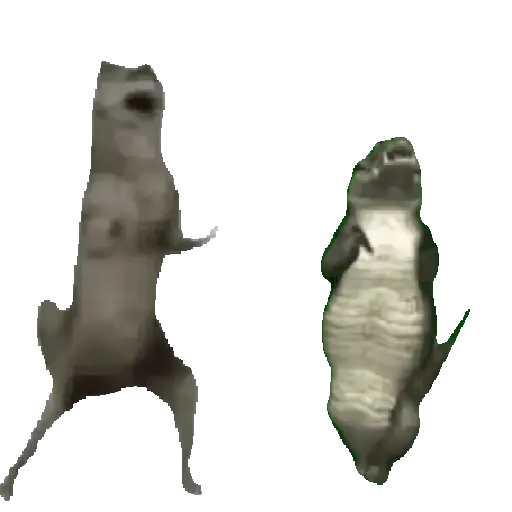 Ibjiñij 🐺