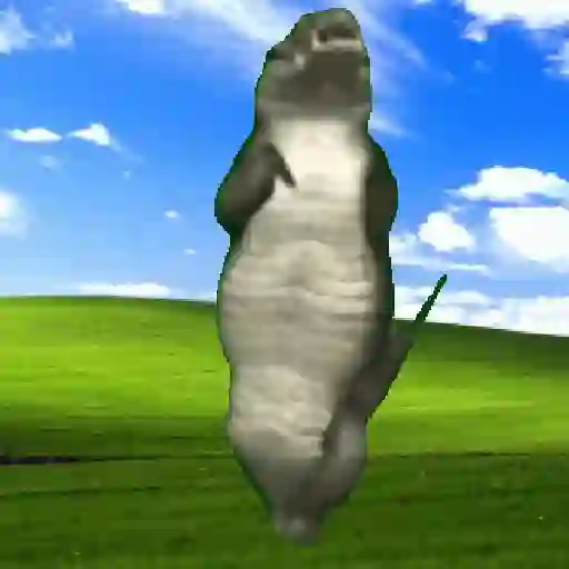 Ibjiñij 🐺