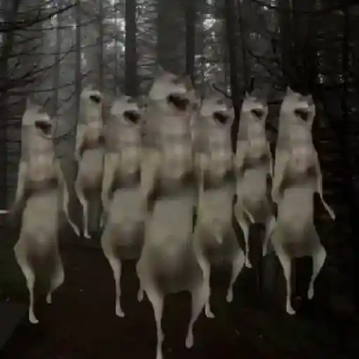 Ibjiñij 🐺 preview