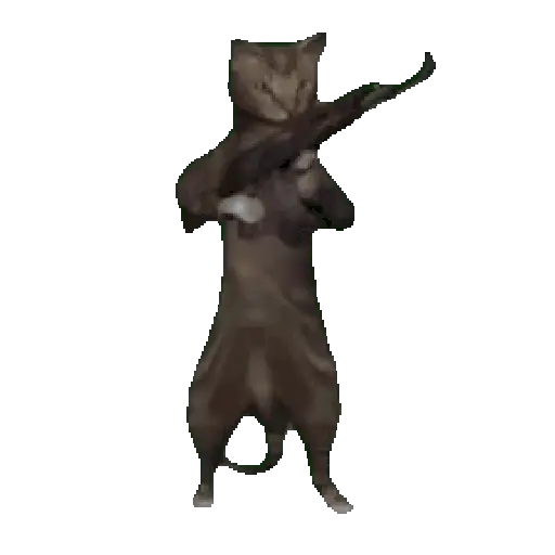 Ibjiñij 🐺