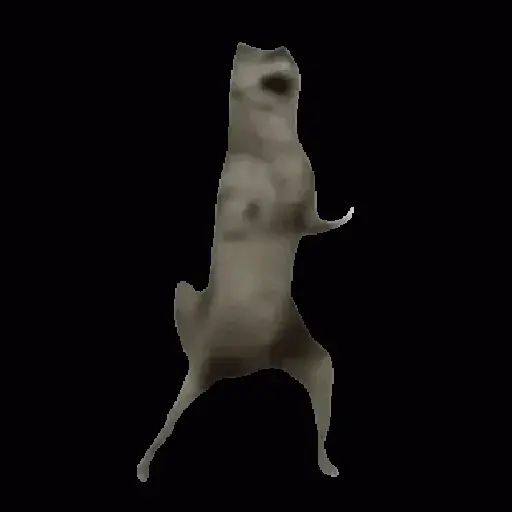 Ibjiñij 🐺