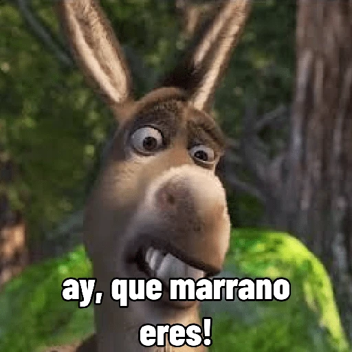 Sherk fuera de contexto 