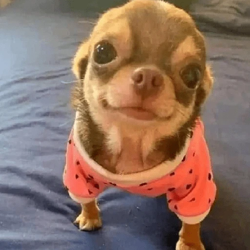 📈💕Cuadraditos para tú🫰🏻2✨ 