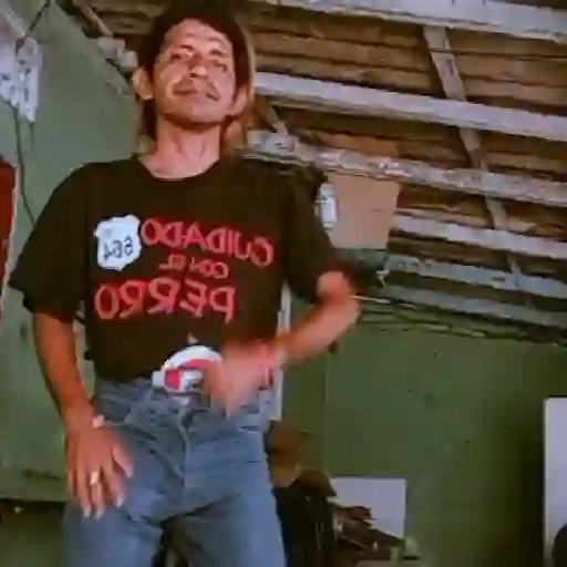 🎵 TIKTOKeando 17🎵 