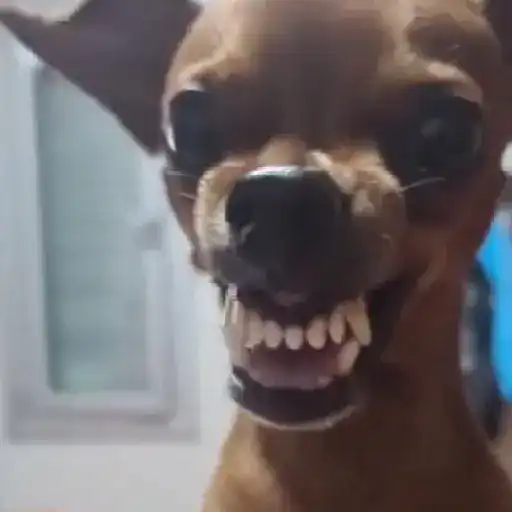 🎵 TIKTOKeando 17🎵 