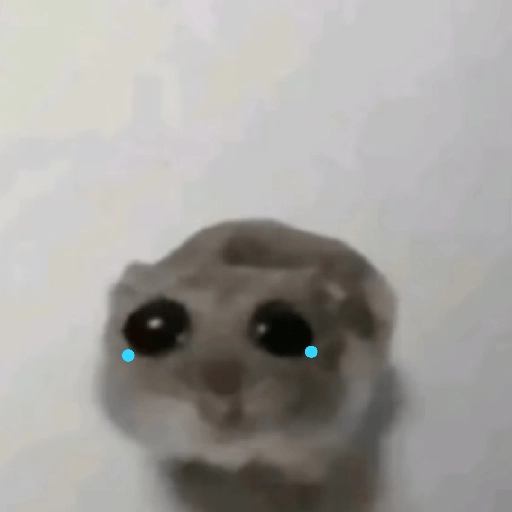 hamster triste tiktok  preview