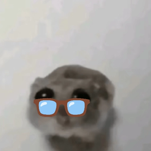 hamster triste tiktok 
