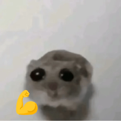 hamster triste tiktok  preview