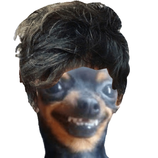 Perrito Milei 