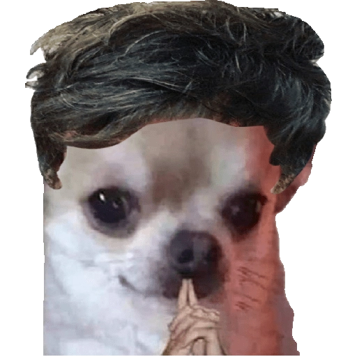 Perrito Milei 