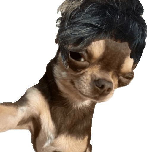 Perrito Milei 