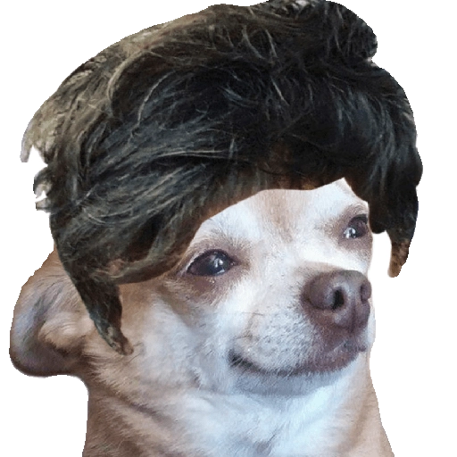 Perrito Milei 
