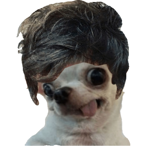 Perrito Milei  preview