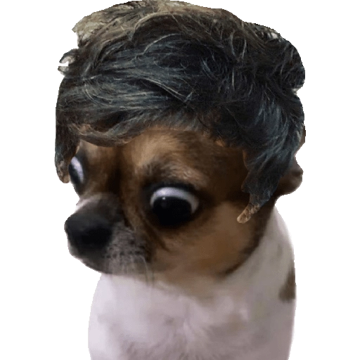Perrito Milei  preview