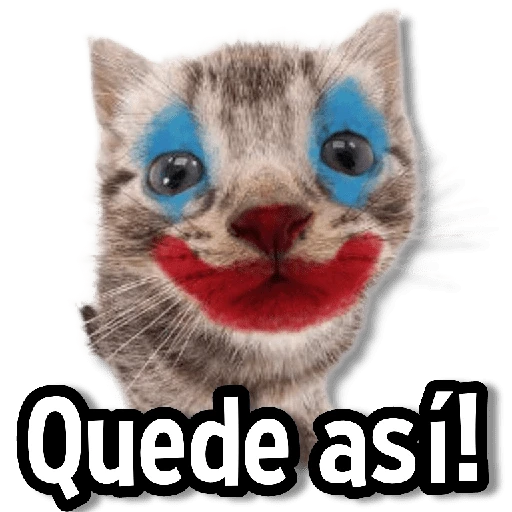 ♨️Memes Variaditos🍒  preview