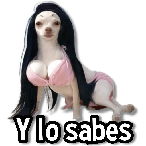 ♨️Memes Variaditos🍒 