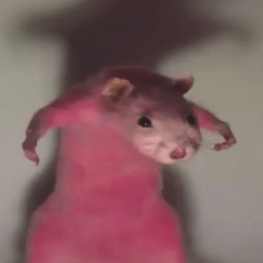 🐭Ratitas🐭 
