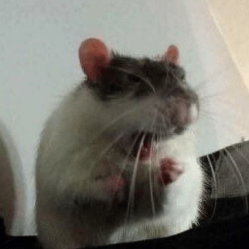 🐭Ratitas🐭 